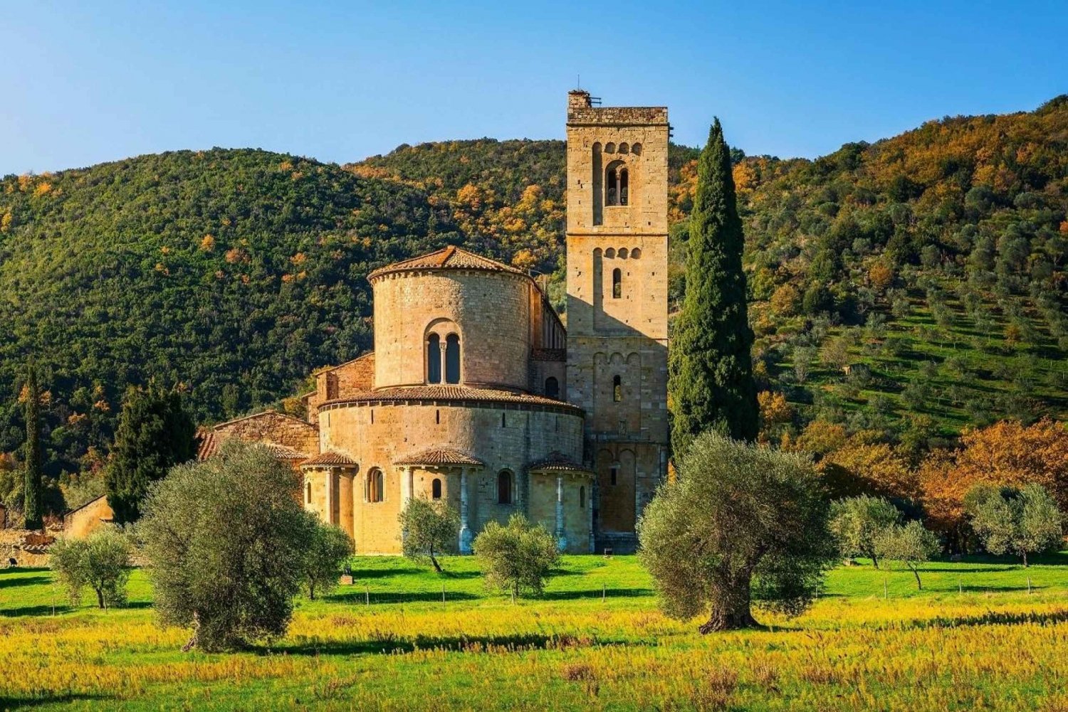Firenze: Orcia-dalen, Montalcino og Pienza med lunsj og vin