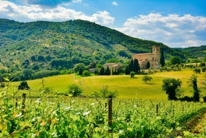 Florencja: Dolina Orcia, Montalcino, Pienza z lunchem i winem