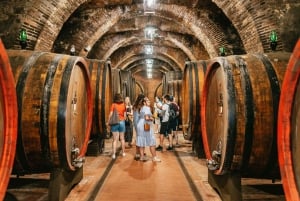 Val D'Orcia: Degustacja serów i wina z Florencji