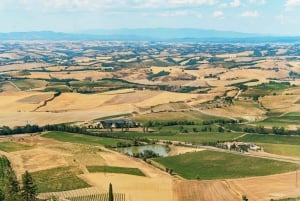 Val d'Orcia : dégustation de fromages et de vins au départ de Florence