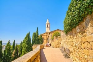 Val D'Orcia: Tour di degustazione di formaggi e vini da Firenze