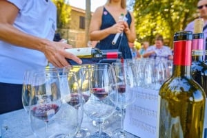 Val d'Orcia : dégustation de fromages et de vins au départ de Florence