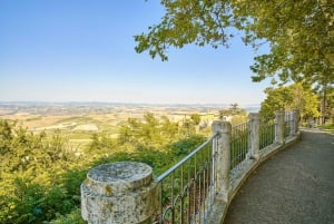 Val d'Orcia : dégustation de fromages et de vins au départ de Florence