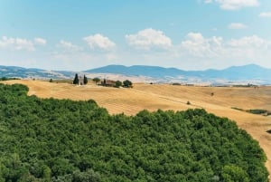 Val D'Orcia: Cheese and Wine Tasting Tour from Florence
