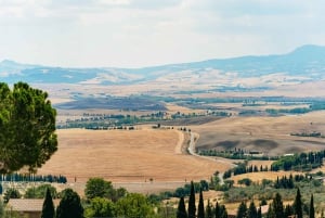 Val D'Orcia: Cheese and Wine Tasting Tour from Florence