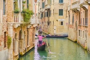 Venezia in un giorno: tour guidato da Firenze