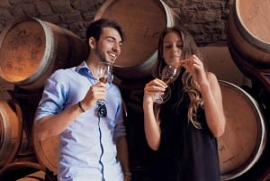 Vanuit Florence: VIP SuperTuscan-wijntour met kleine groep