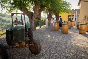 De Florença: excursão para grupos pequenos de vinhos Chianti com almoço