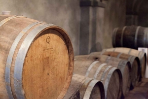 VIP Small-Group SuperTuscan Wine Tour from Florence