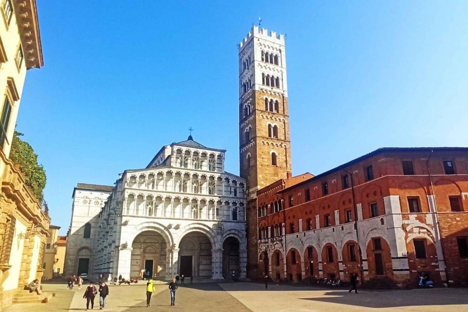 Visita Pisa e Lucca con pranzo in un'azienda vinicola a conduzione familiare