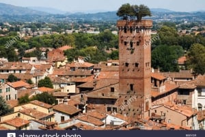Besøg Pisa og Lucca med frokost på en familiedrevet vingård