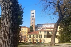 Visita Pisa y Lucca con almuerzo en una bodega familiar