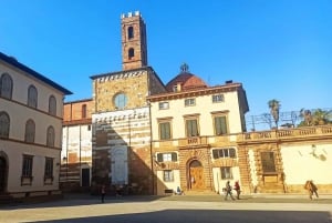Besøg Pisa og Lucca med frokost på en familiedrevet vingård