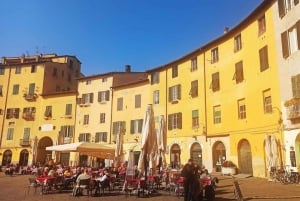 Visite Pisa e Lucca com almoço em uma vinícola familiar