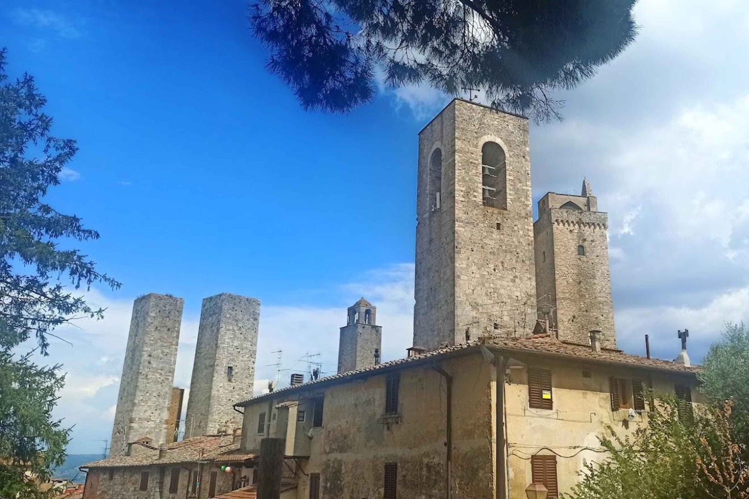 Besøg Siena og San Gimignano med frokost på en familiegård