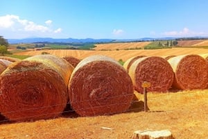 Visita Siena e San Gimignano con pranzo in una fattoria a conduzione familiare
