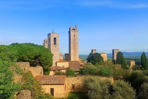Vieraile Sienassa ja San Gimignanossa ja lounasta perhetilalla.