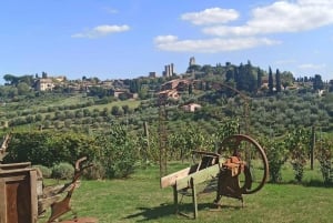 Vieraile Sienassa ja San Gimignanossa ja lounasta perhetilalla.