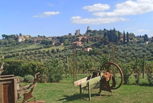 Besøg Siena og San Gimignano med frokost på en familiegård