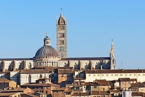Besøg Siena og San Gimignano med frokost på en familiegård