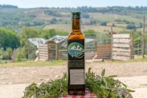 Walk with Donkeys in the Olive Orchard near Florence