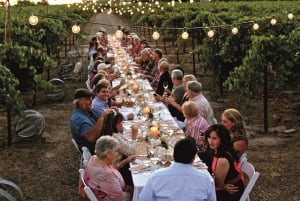 Wine Tasting and Dinner in the Vineyards of Chianti