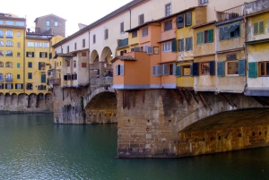 Vinsmagning med charcuterivarer og oste i Firenze