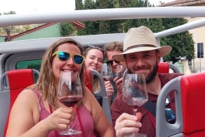Tour do vinho em uma van aberta