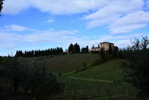  Winery Tour in Chianti Classico with Dinner