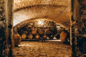 Firenze, vinsmaking og omvisning i Chianti, Medici-villaen