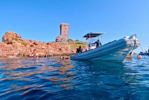 Agay: Guided snorkeling trip by boat in the Calanques of the Estérel