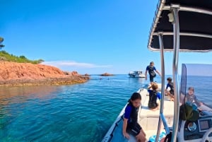 Agay: Guided snorkeling trip by boat in the Calanques of the Estérel