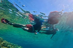 Agay: Guided snorkeling trip by boat in the Calanques of the Estérel