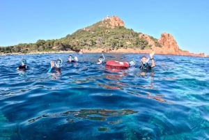 Agay: Guided snorkeling trip by boat in the Calanques of the Estérel