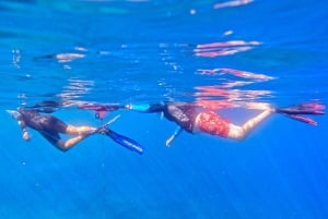 Agay: Guided snorkeling trip by boat in the Calanques of the Estérel