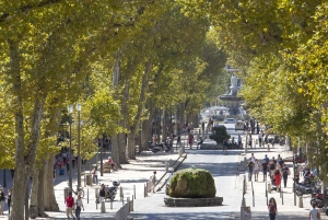 Prywatna wycieczka do Aix en Provence i Awinionu, miasta papieży