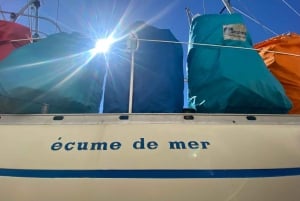 Beaulieu-sur-Mer: Paseo en barco privado por la Costa Azul