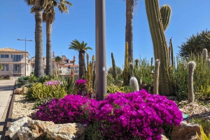 Antibes: Tour a pie de 2 horas por el casco antiguo