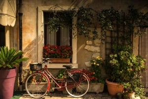 Antibes: Electric Bike Tour