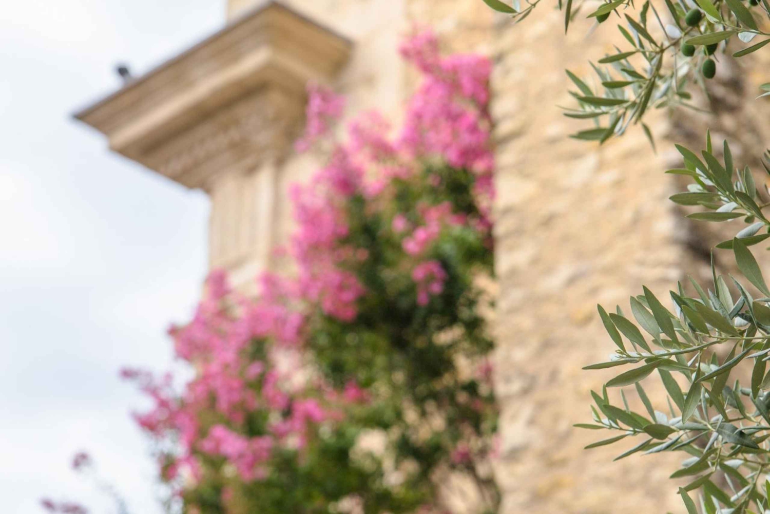 Antibes: Ekspressvandring med en lokal innbygger på 60 minutter