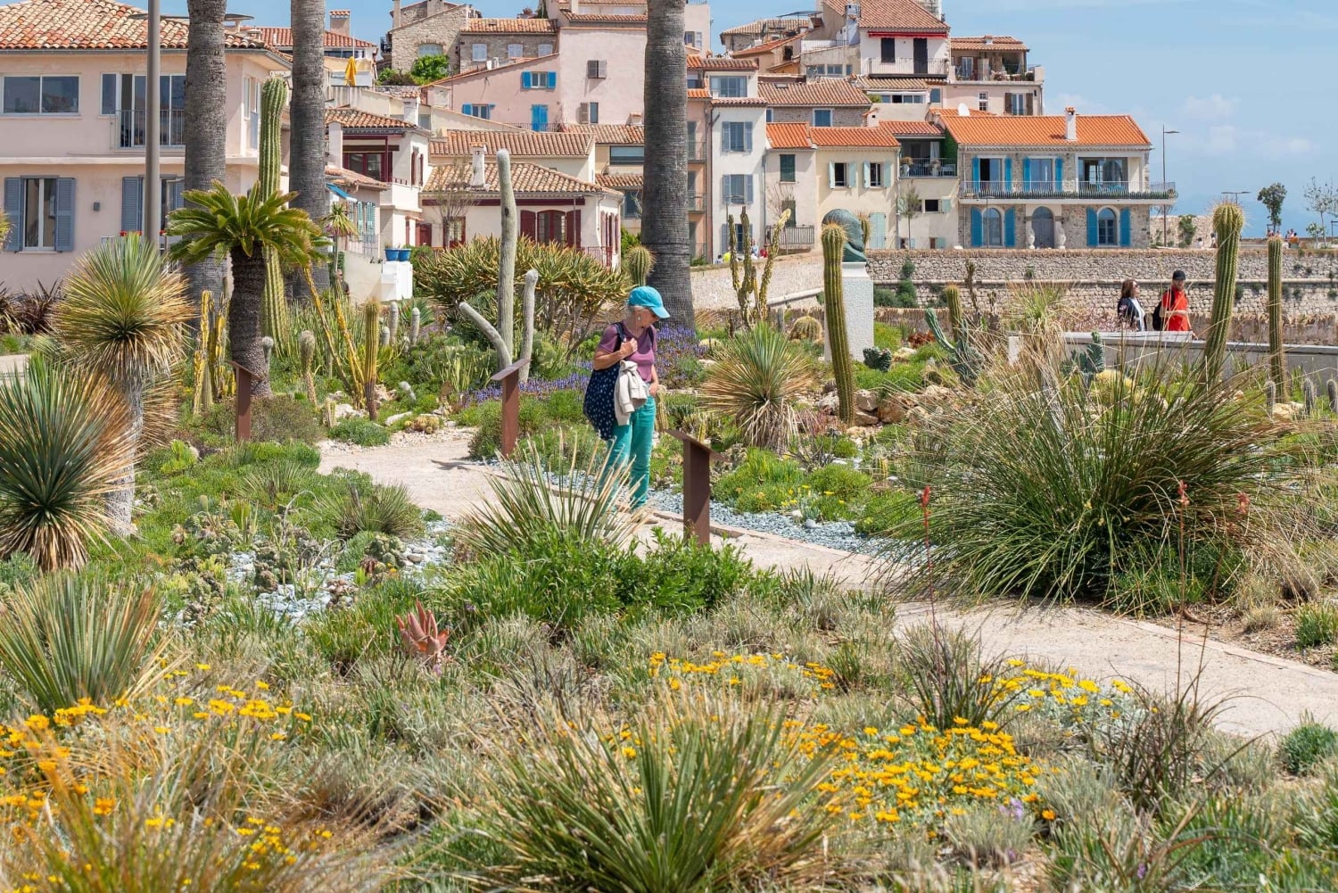 Antibes' Hidden Gems: Walking Tour Alongside a Local Guide