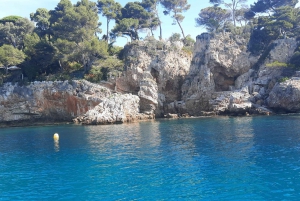 Aperitive at sunset on sailboat-Swim and paddle-Antibes Cape