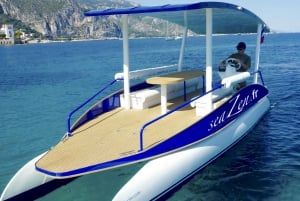 Beaulieu-sur-Mer: Private French Riviera Solar Boat Cruise