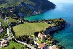 Il meglio della PROVENZA: Aix-en-Provence+Cassis & Giornata di degustazione di vini