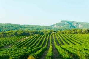 O melhor de PROVENCE: Aix-en-Provence+Cassis e dia de degustação de vinhos