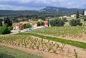 Lo mejor de PROVENZA : Aix-en-Provence+Jornada de degustación de cava y vino