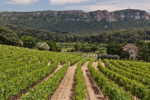 Het beste van PROVENCE : Aix-en-Provence+Cassis & Wijnproeverij dag