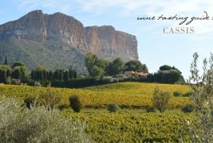 Il meglio della PROVENZA: Aix-en-Provence+Cassis & Giornata di degustazione di vini