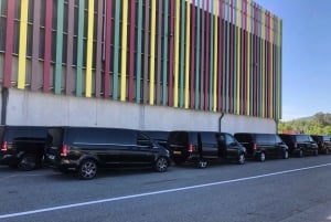 Bestilling av privat transport fra Nice lufthavn til Cannes