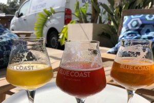 Nice: Brewery Tour and Craft Beer Tasting